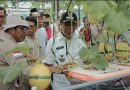 Bupati Dorong Poto Tano Sebagai Lumbung Hortikultura