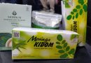 Dari Kebun Warga, Nasrin Bawa Kelor NTB Menembus Dunia